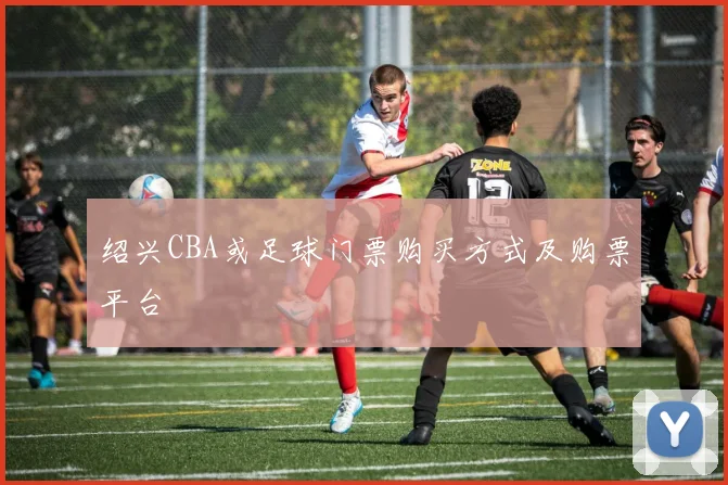绍兴CBA或足球门票购买方式及购票平台