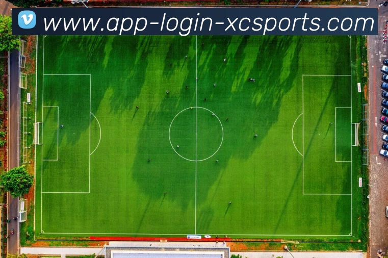 杏彩体育APP 体育赛事宣传图